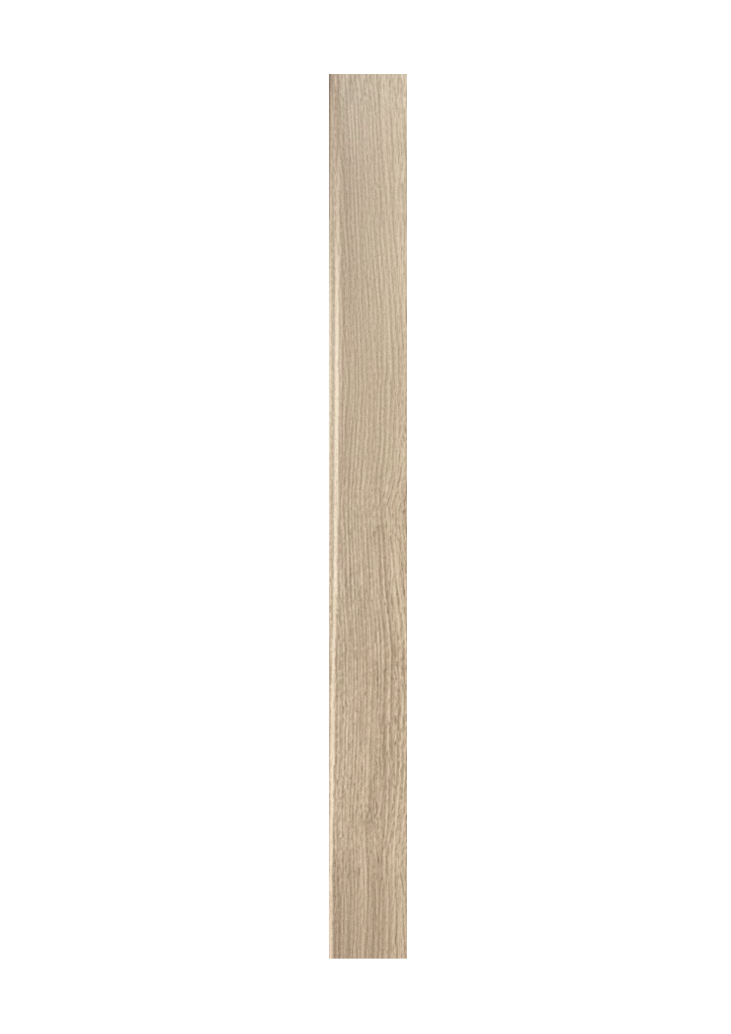 ZÓCALO SPC 8512