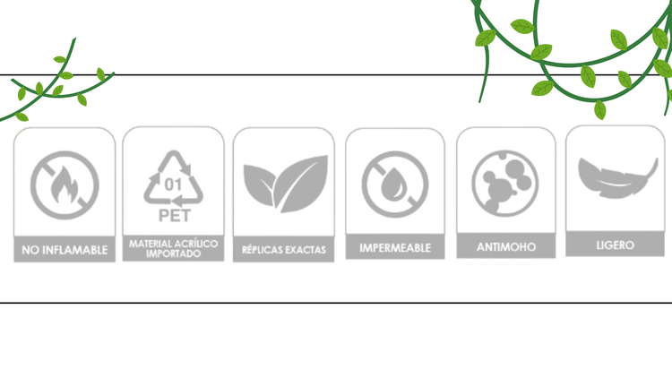 PLANTAS DE LIRA