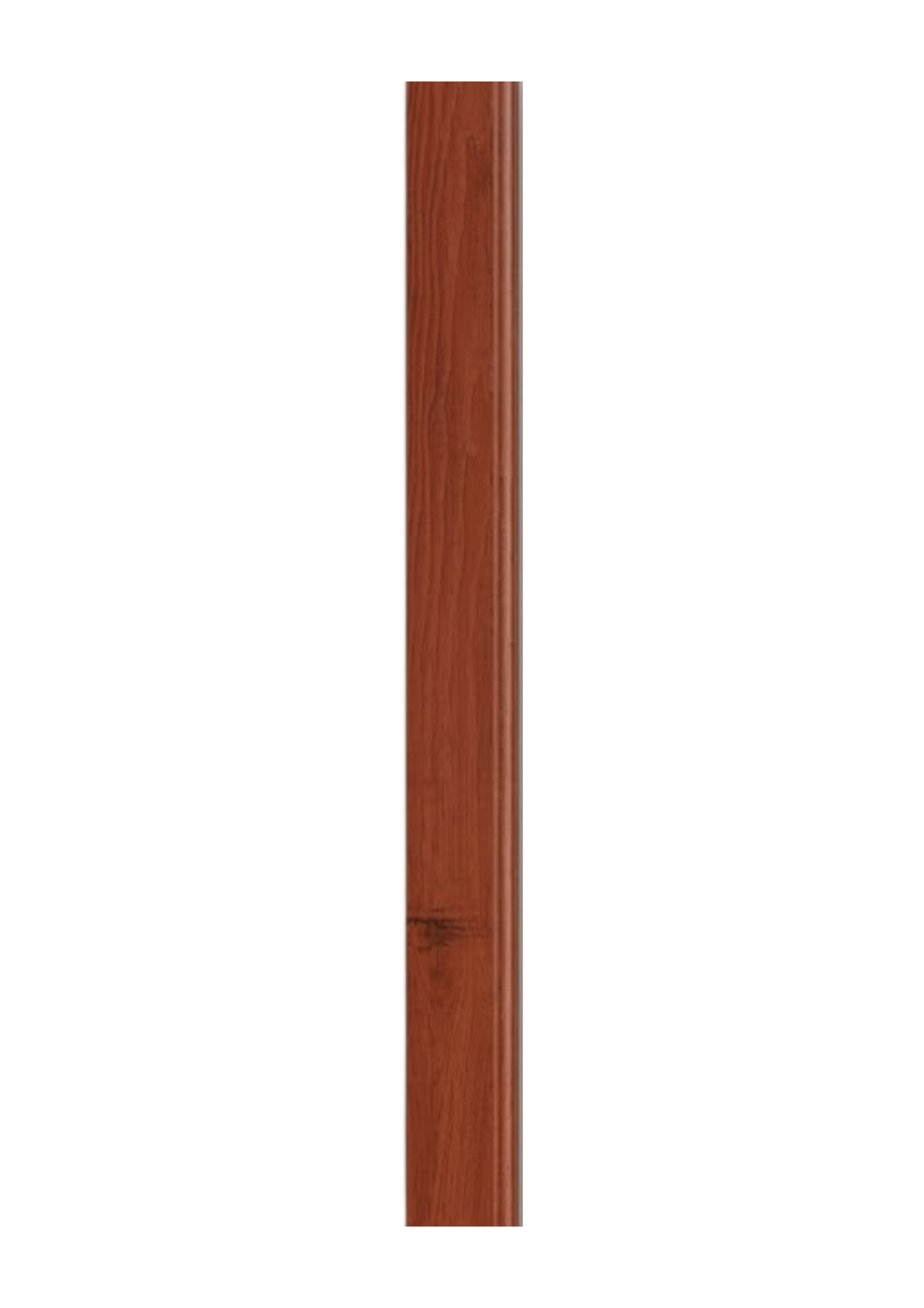 Zócalo SPC 8057