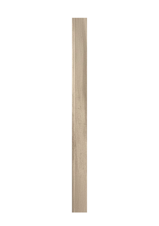 ZÓCALO SPC 8139
