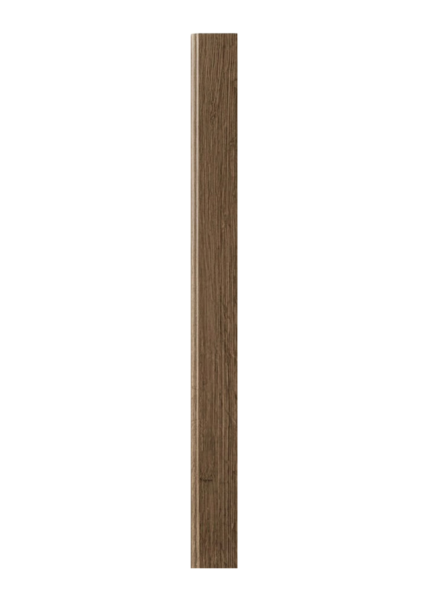 Zócalo SPC 8725