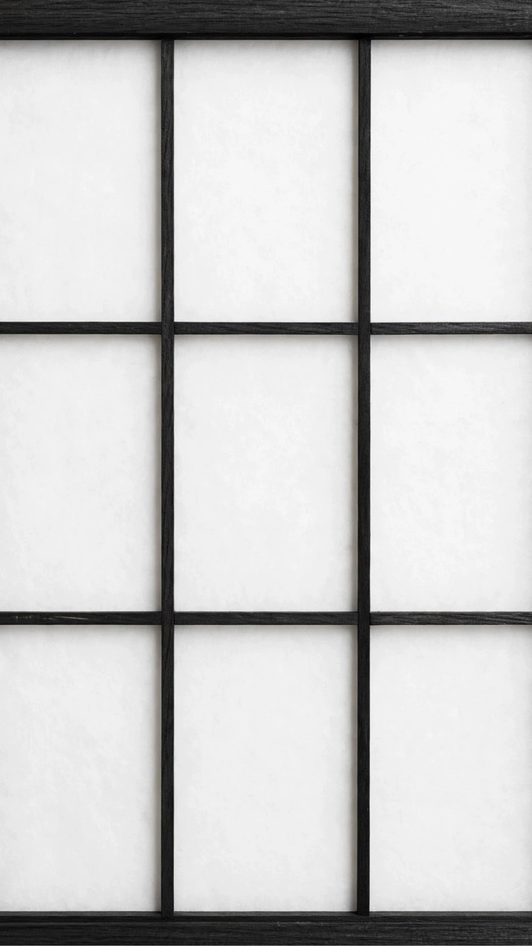 Biombo Separador Práctico - Color negro