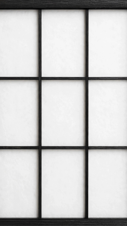 Biombo Separador Práctico - Color negro