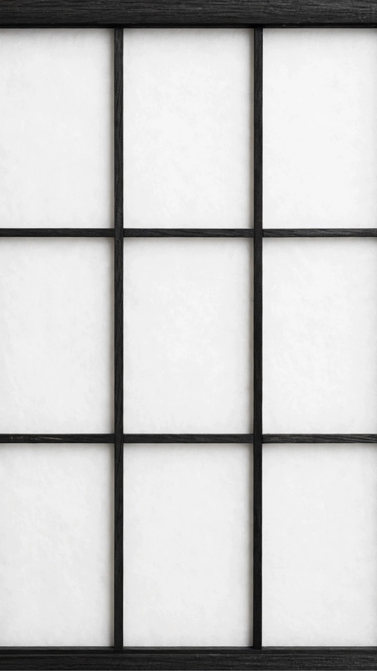 Biombo Separador Práctico - Color negro