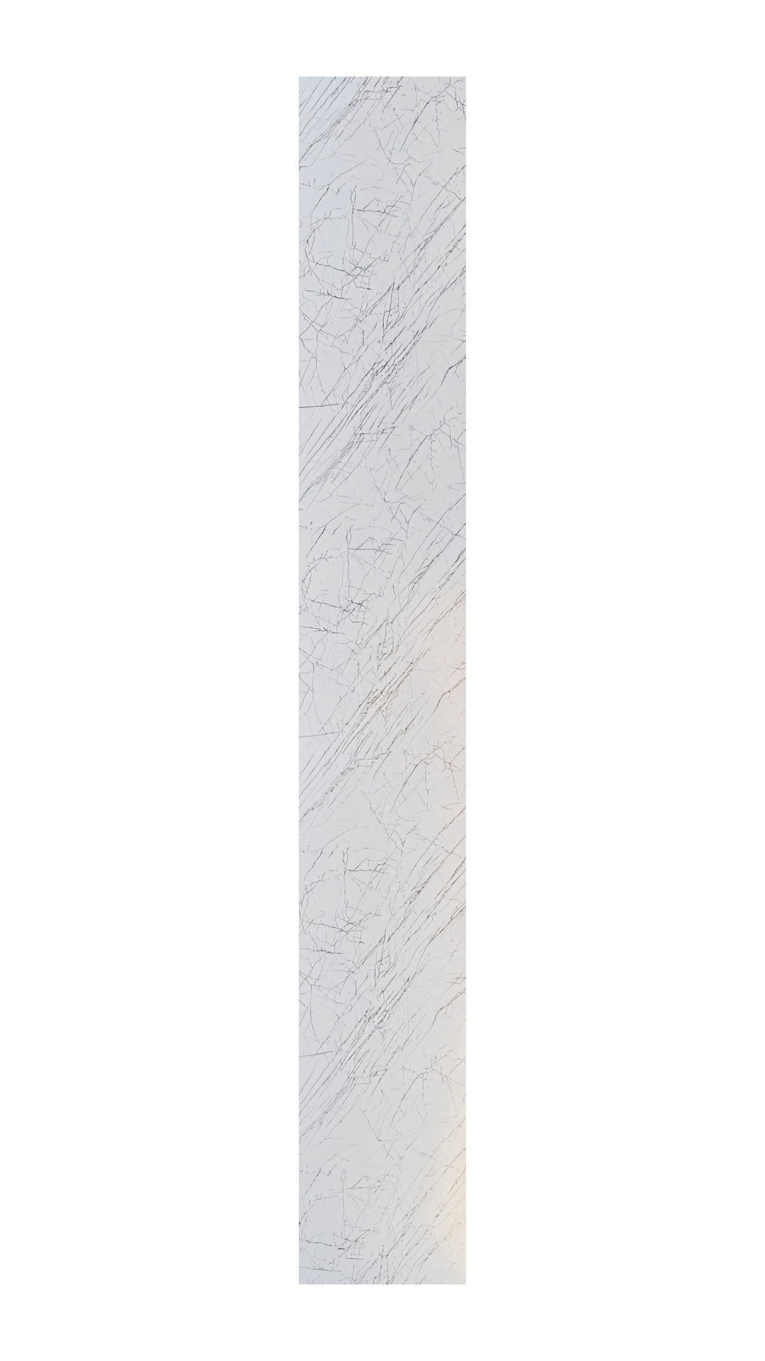Cielo Raso Decorativo – LO1-1