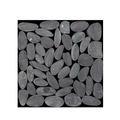 Piedra Luna Negra / Blanca - 006629