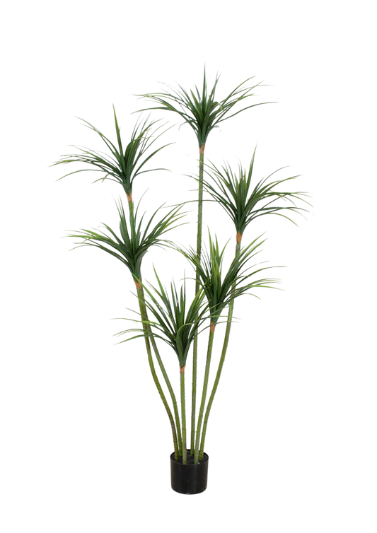 Plantas Artificiales - Modelo XGLX160