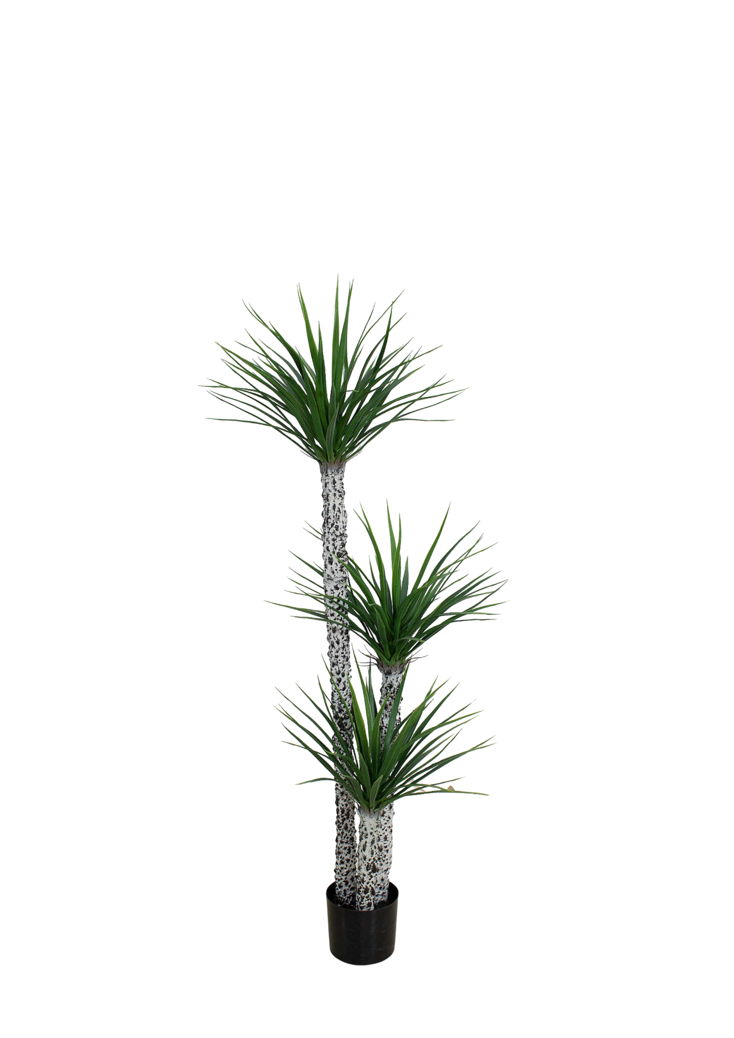 Plantas Artificiales - Modelo CGLSL150
