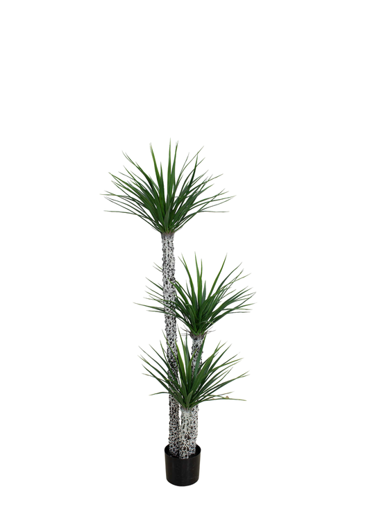 Plantas Artificiales - Modelo CGLSL150