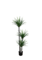 Plantas Artificiales - Modelo CGLSL150