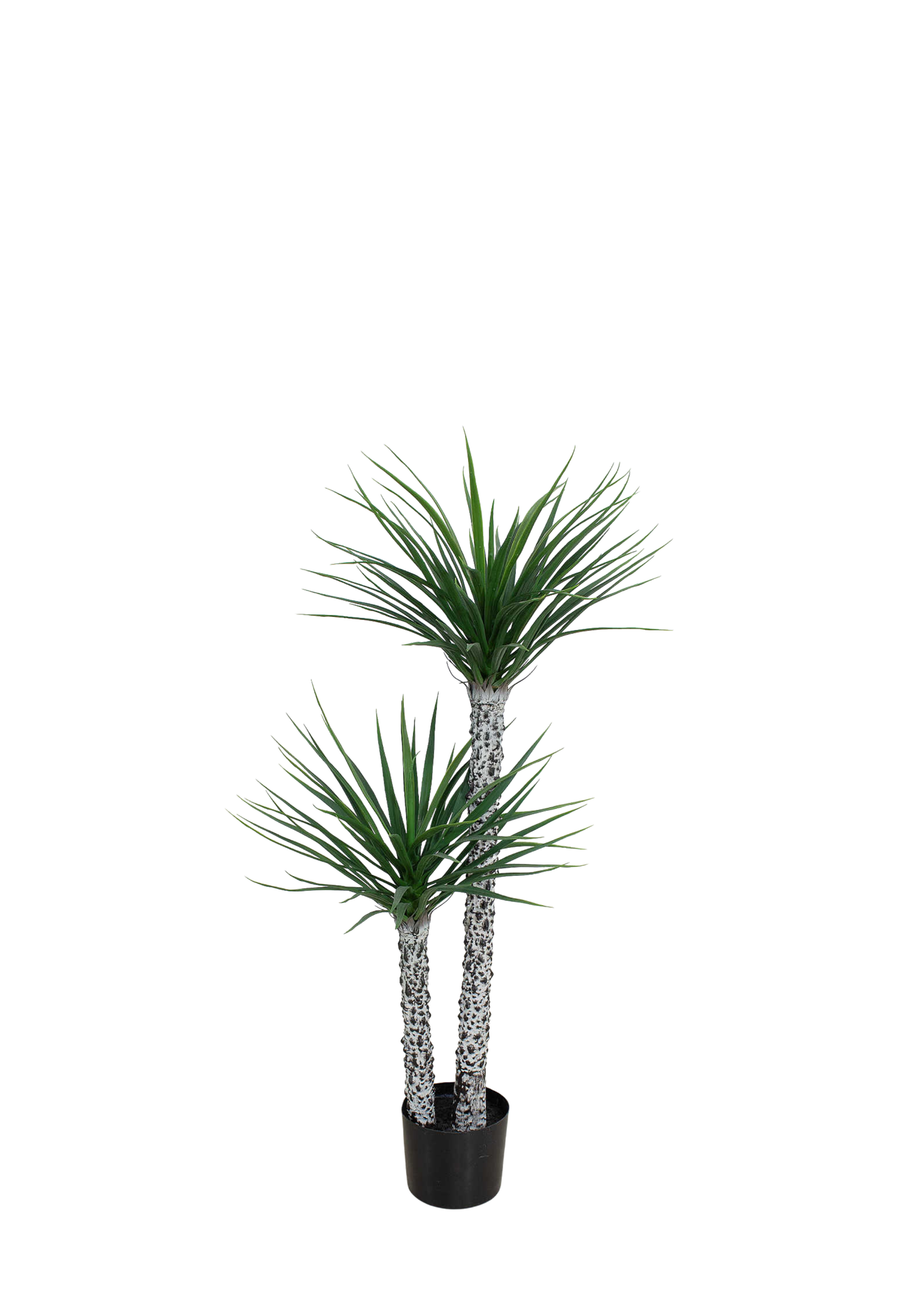 Plantas Artificiales - Modelo CGLSL120