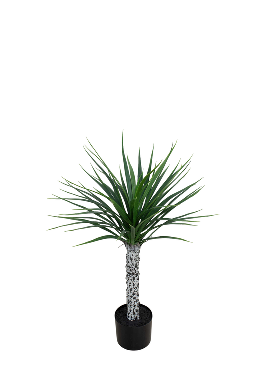 Plantas Artificiales - Modelo CGLSL80