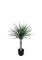 Plantas Artificiales - Modelo CGLSL80