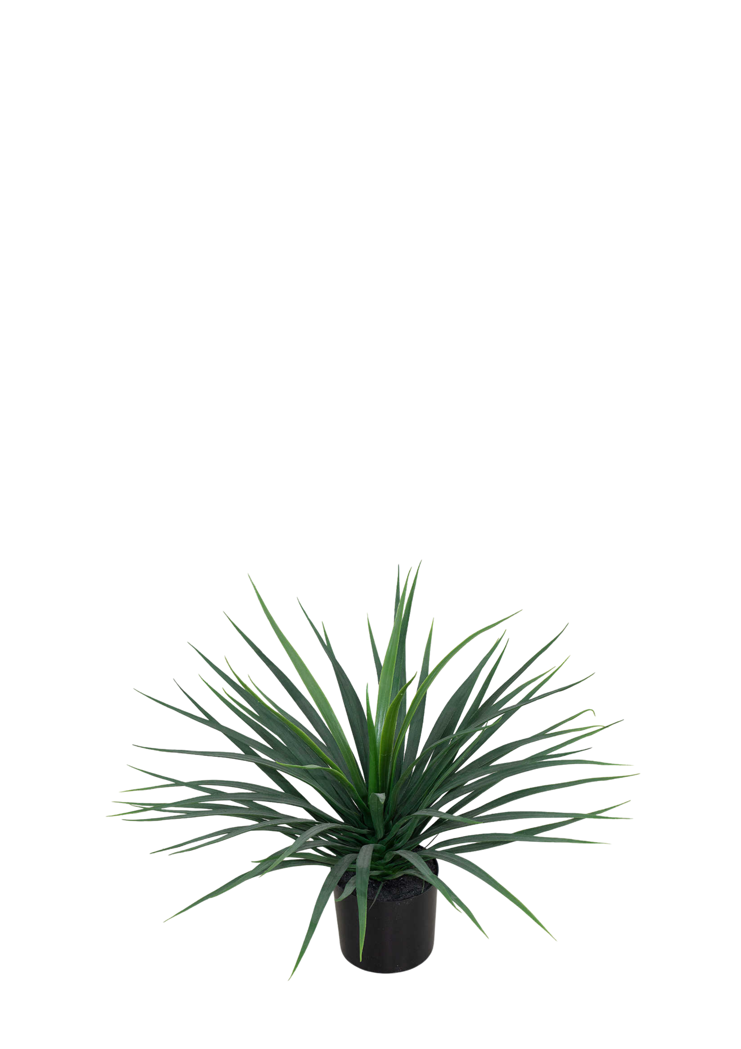 Plantas Artificiales - Modelo CGLSL-001