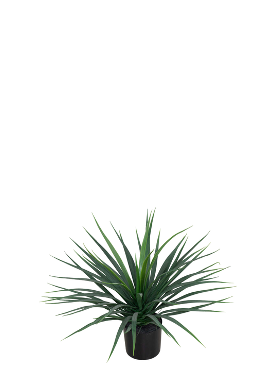 Plantas Artificiales - Modelo CGLSL-001