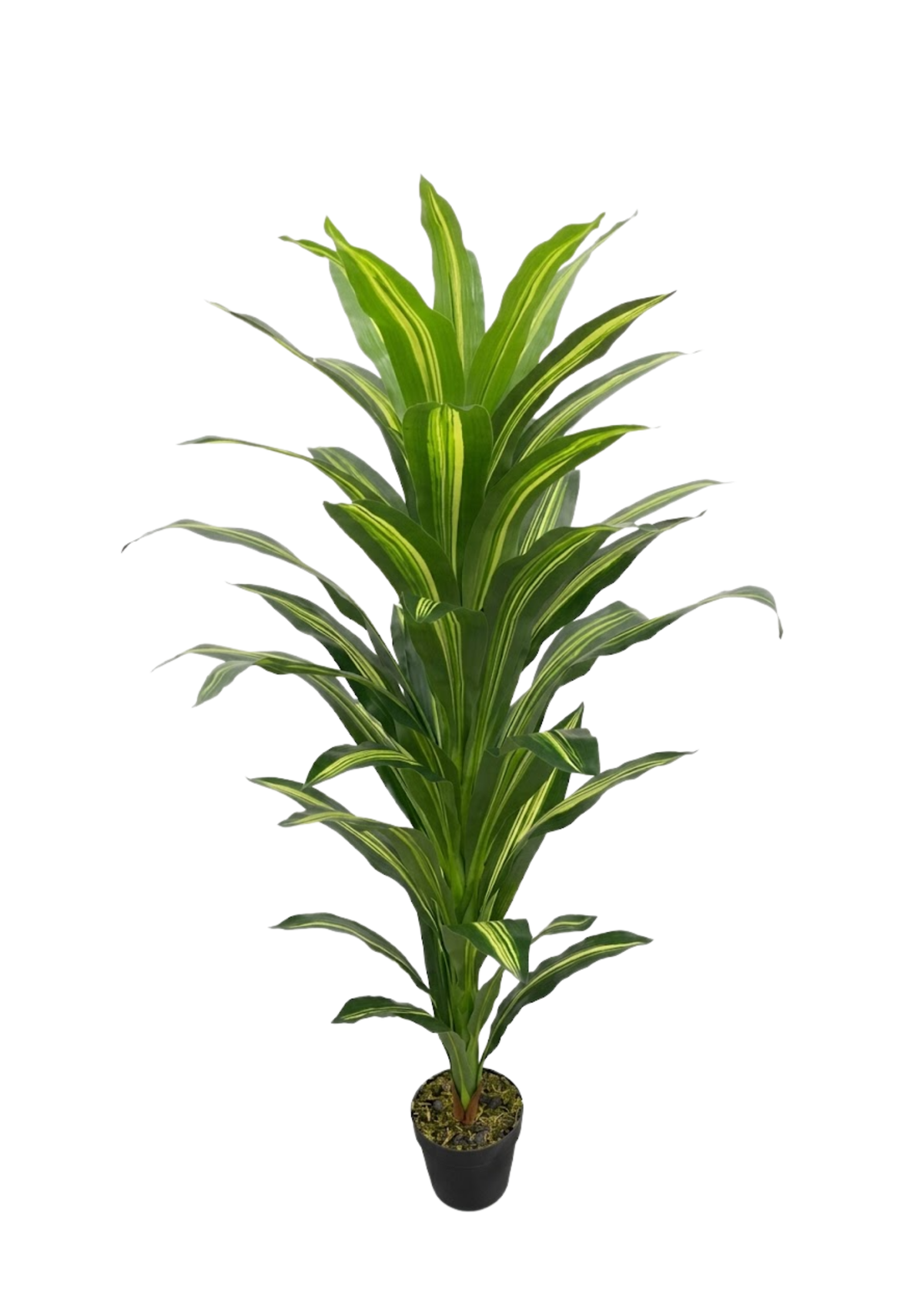 Plantas Artificiales - Modelo JWS3550