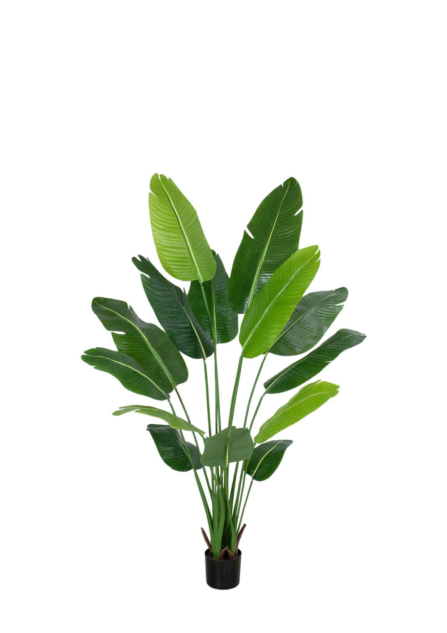 Plantas Artificiales - Modelo LRJ-002-21