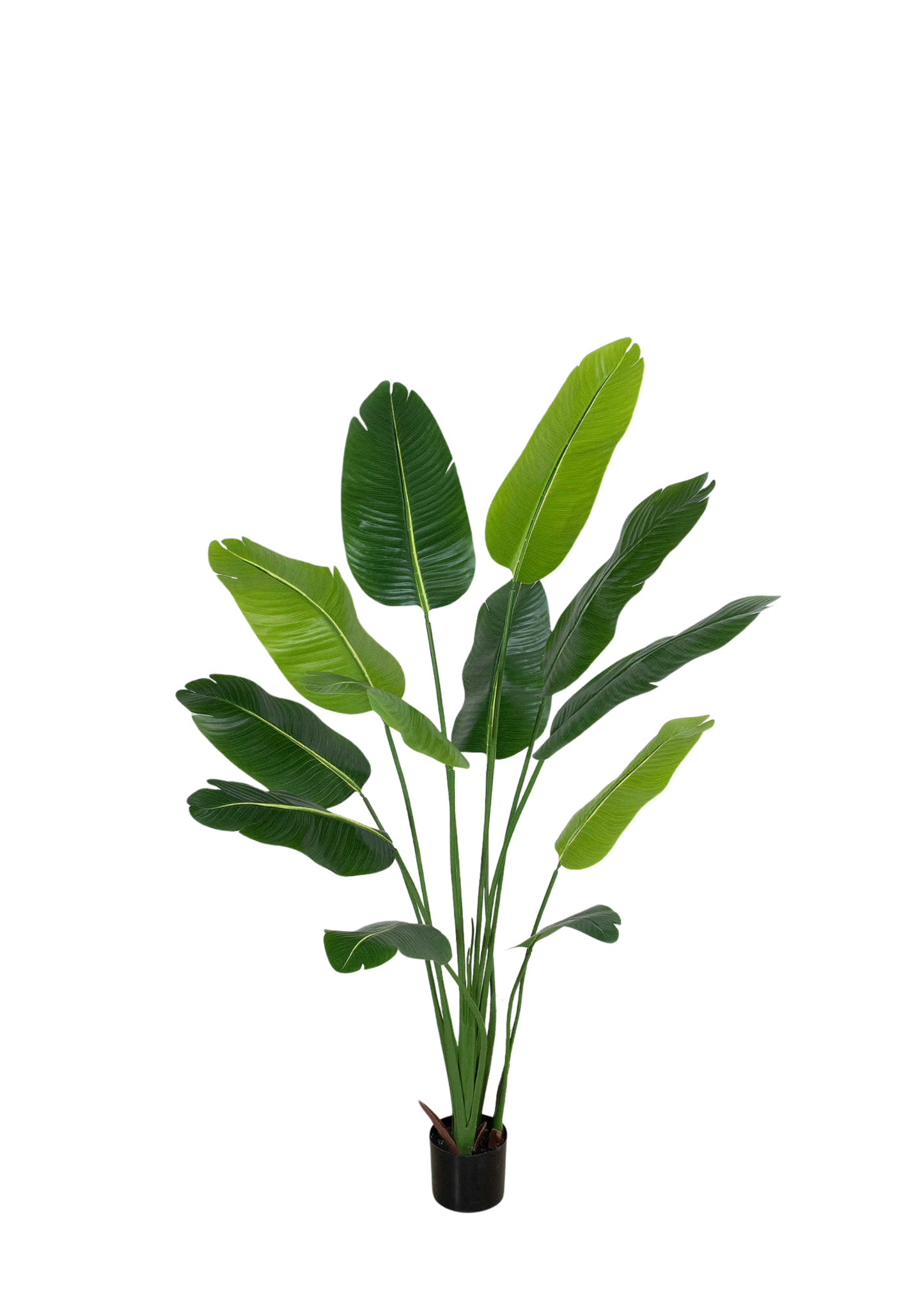 Plantas Artificiales - Modelo LRJ-002-18
