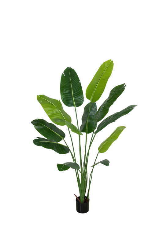 Plantas Artificiales - Modelo LRJ-002-18