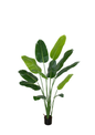 Plantas Artificiales - Modelo LRJ-002-18