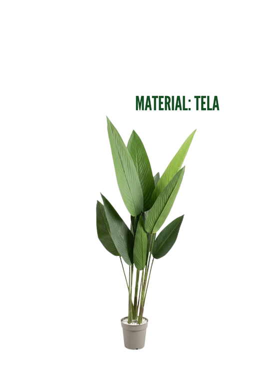 Plantas Artificiales - Modelo JWT3179