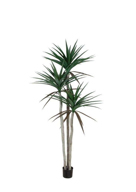 Plantas Artificiales - Modelo GGJM-001-21
