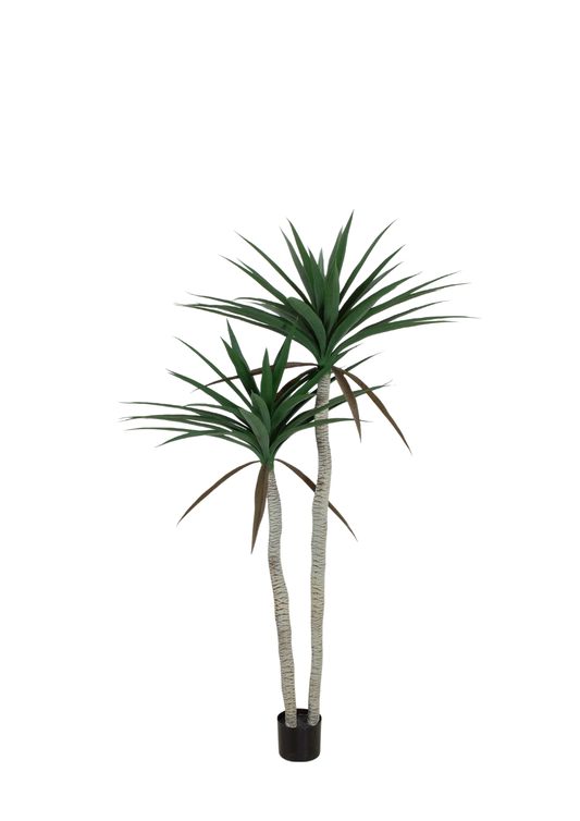 Plantas Artificiales - Modelo GGJM-001-17