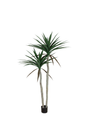 Plantas Artificiales - Modelo GGJM-001-17