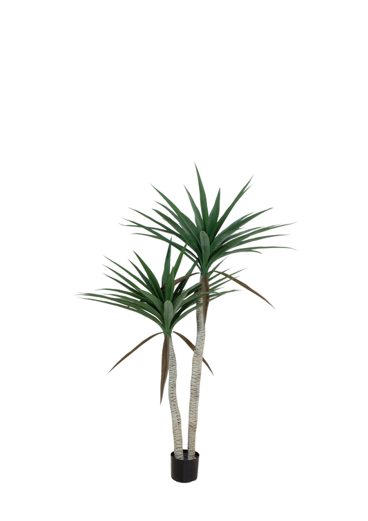 Plantas Artificiales - Modelo GGJM-001-15