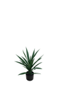 Plantas Artificiales - Modelo XKJM-001-60