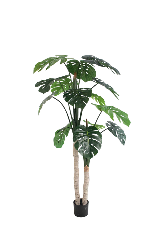 Plantas Artificiales - Modelo GBC170
