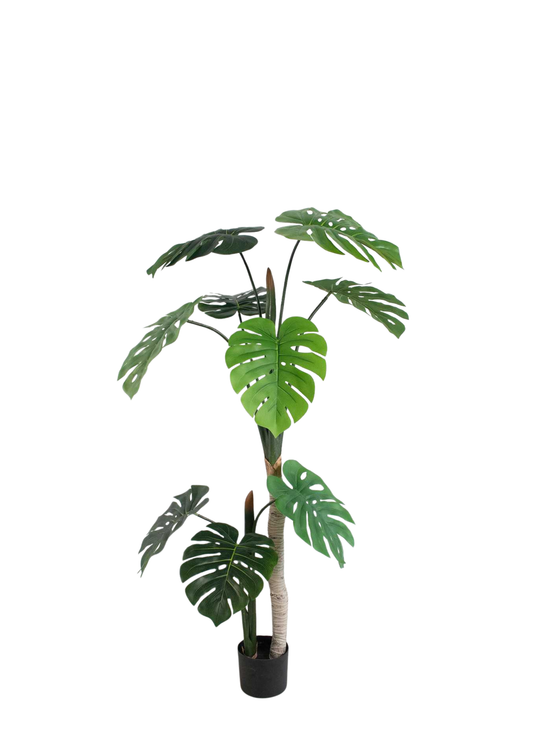 Plantas Artificiales - Modelo GBC150