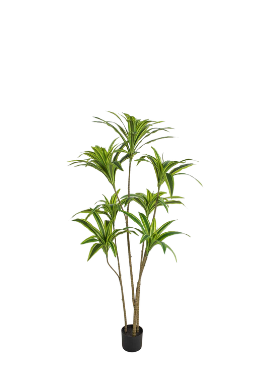 Plantas Artificiales - Modelo BXMR170