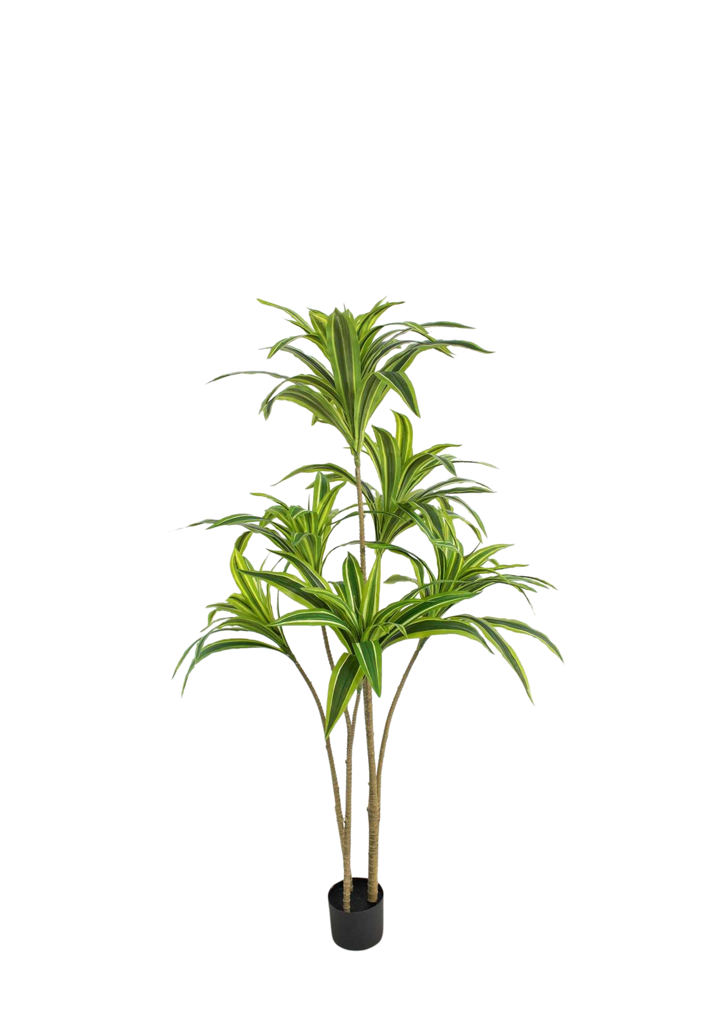 Plantas Artificiales - Modelo BXMR150