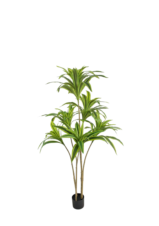 Plantas Artificiales - Modelo BXMR150