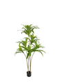 Plantas Artificiales - Modelo BXMR150