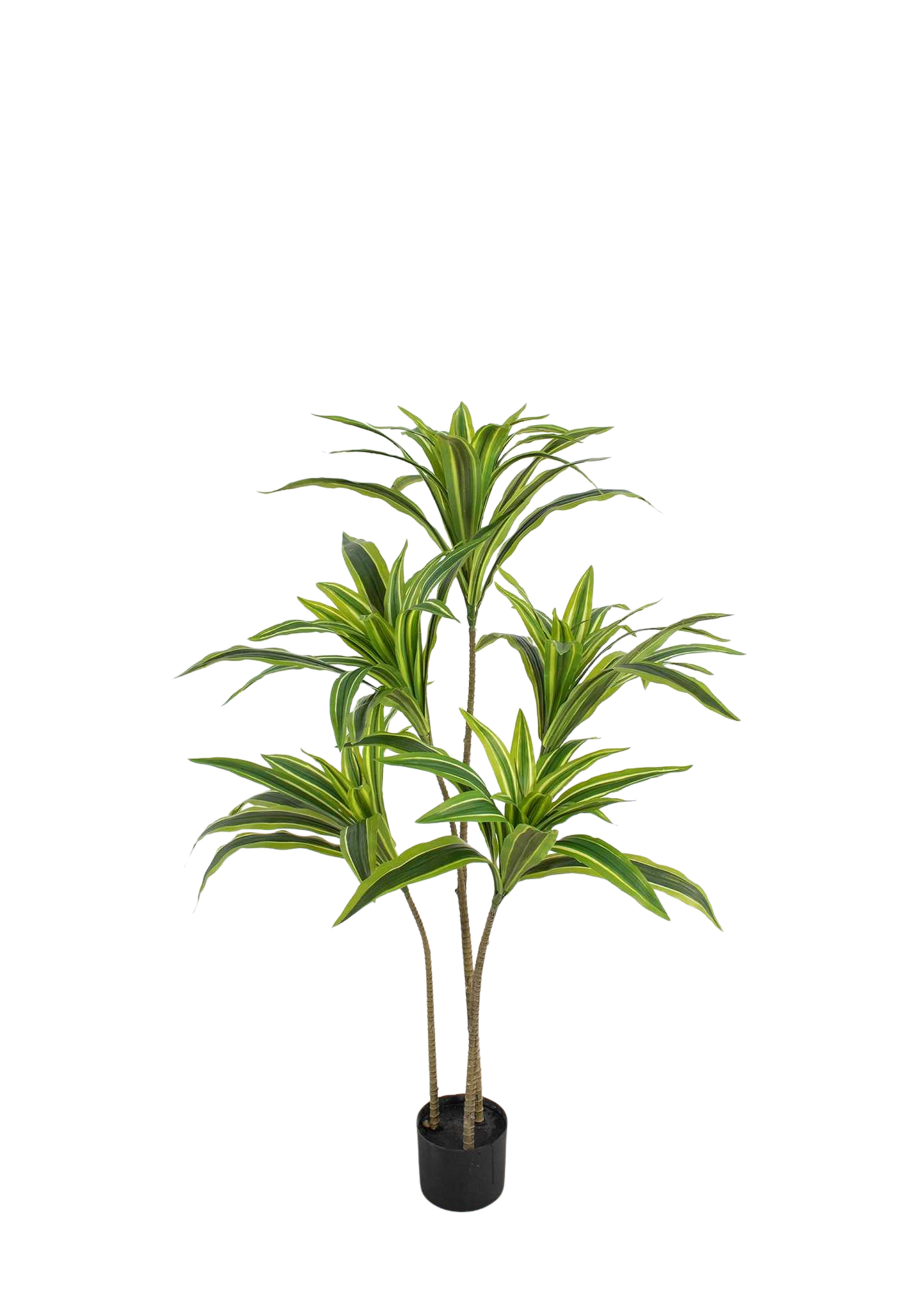 Plantas Artificiales - Modelo BXMR130