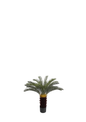 Plantas Artificiales - Modelo TS90