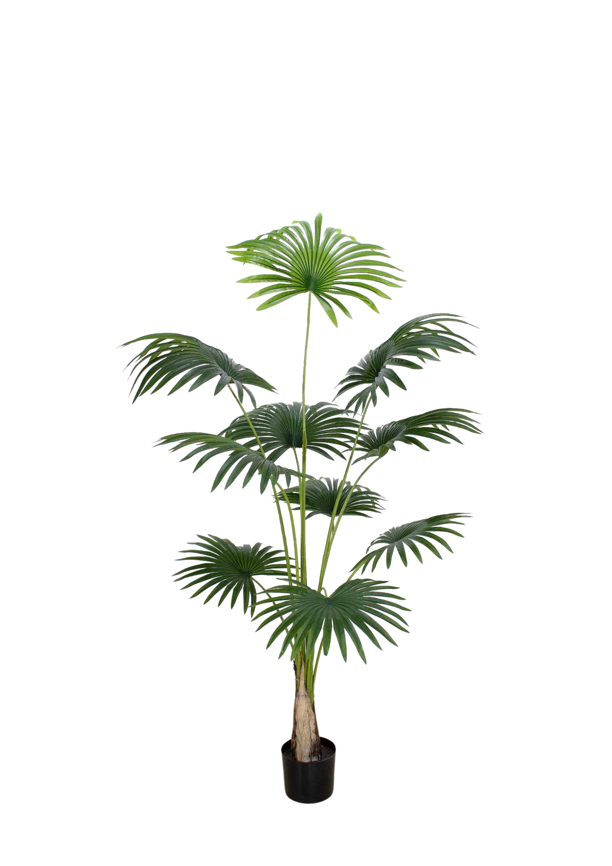Plantas Artificiales - Modelo PK180