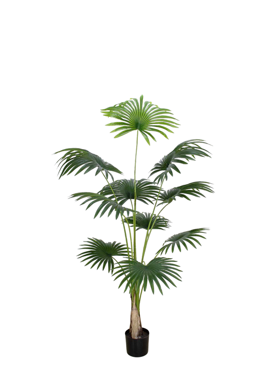 Plantas Artificiales - Modelo PK180