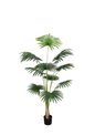 Plantas Artificiales - Modelo PK180