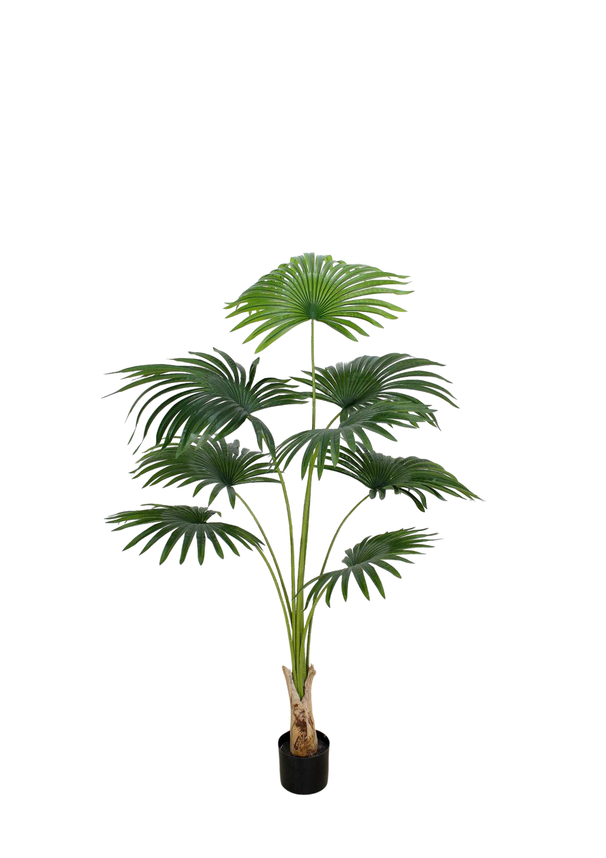Plantas Artificiales - Modelo PK160