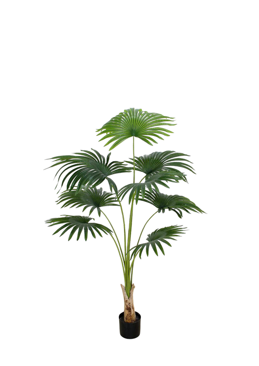 Plantas Artificiales - Modelo PK160