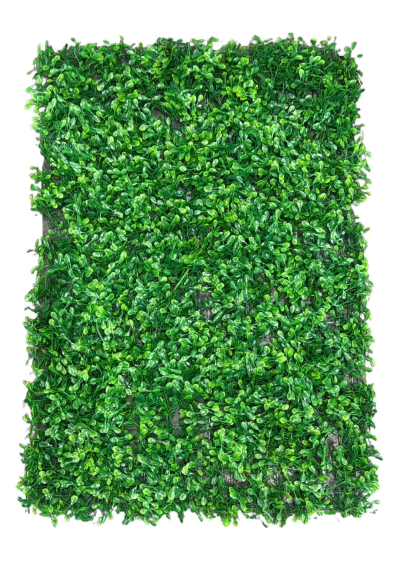 Césped Artificial / Vertical - Modelo AF-2216