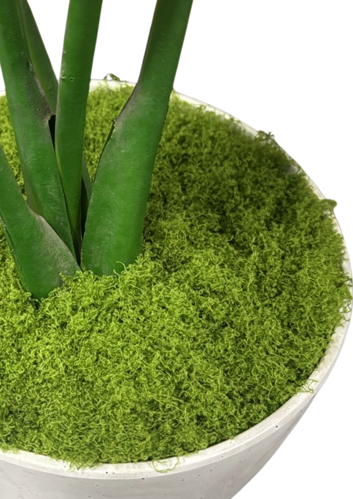 Musgo Artificial / Decorativo