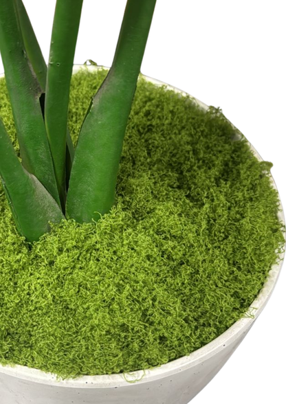 Musgo Artificial / Decorativo