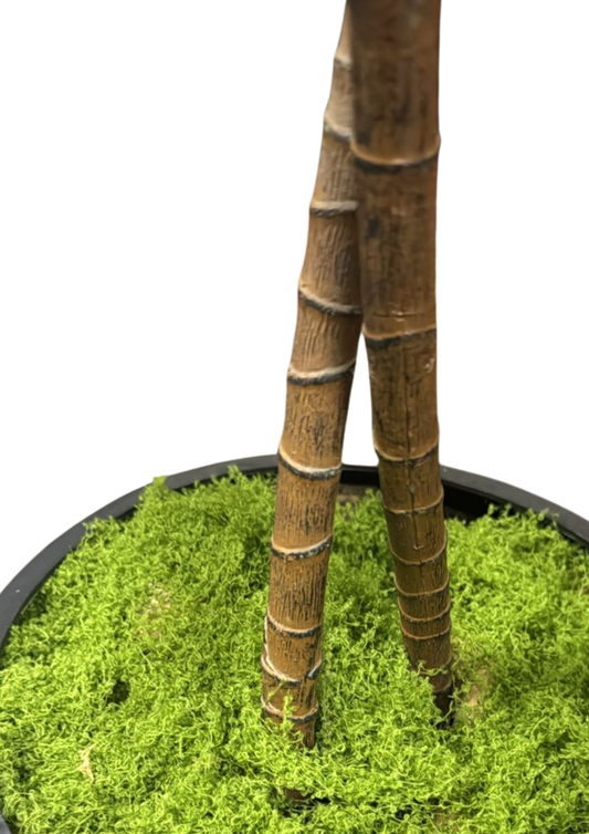 Musgo Artificial / Decorativo