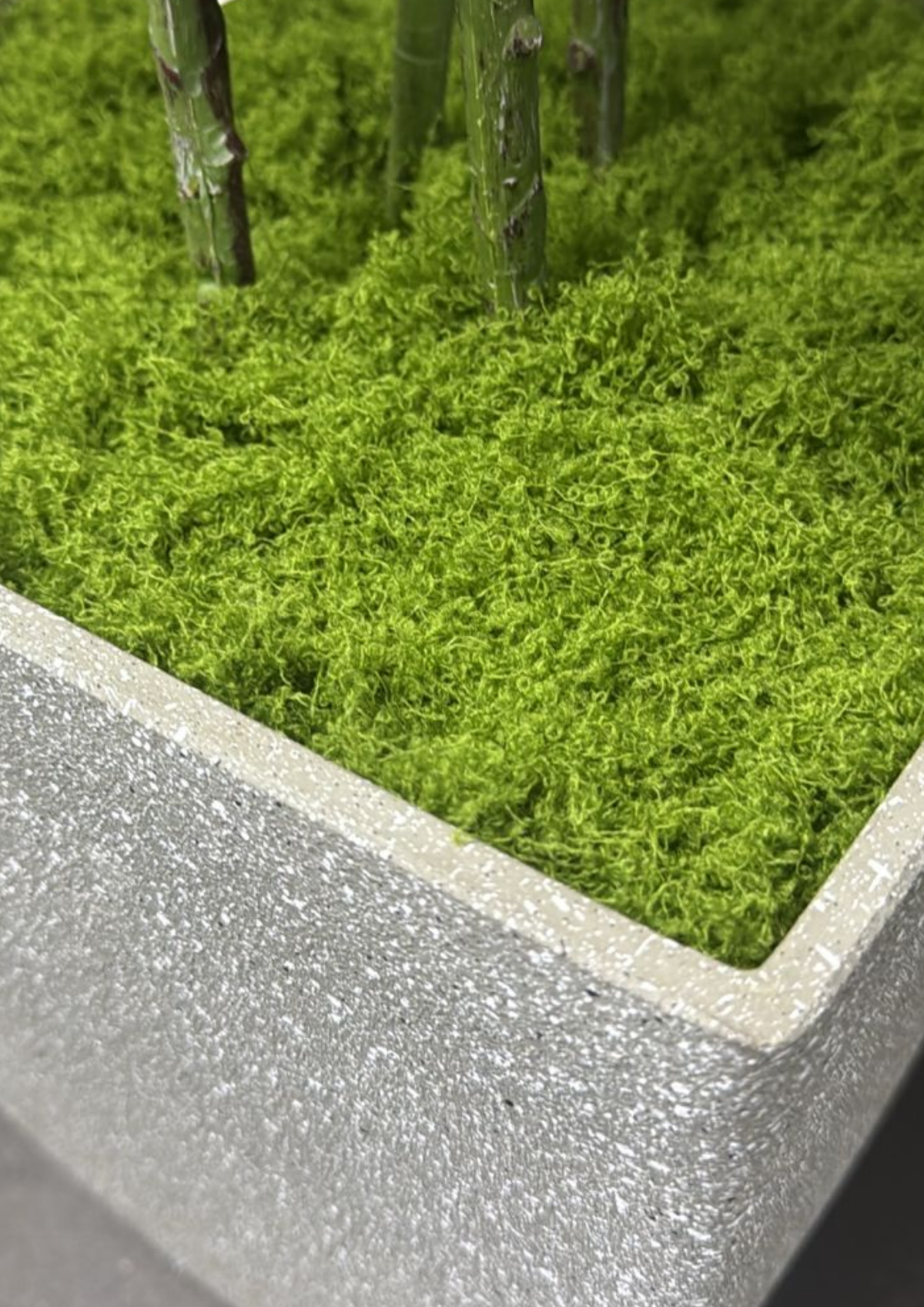 Musgo Artificial / Decorativo