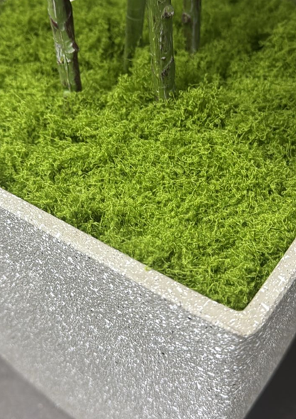 Musgo Artificial / Decorativo